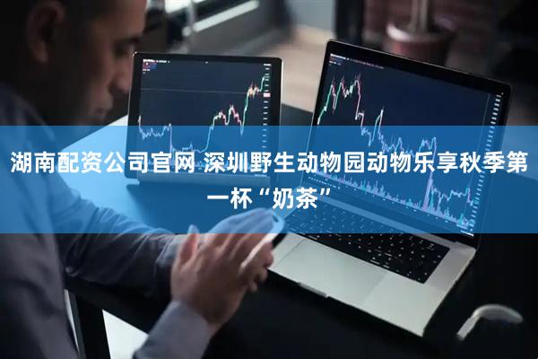 湖南配资公司官网 深圳野生动物园动物乐享秋季第一杯“奶茶”