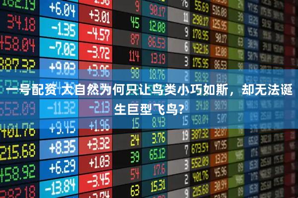 一号配资 大自然为何只让鸟类小巧如斯，却无法诞生巨型飞鸟?