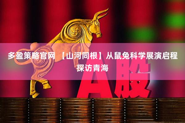 多盈策略官网 【山河同根】从鼠兔科学展演启程探访青海