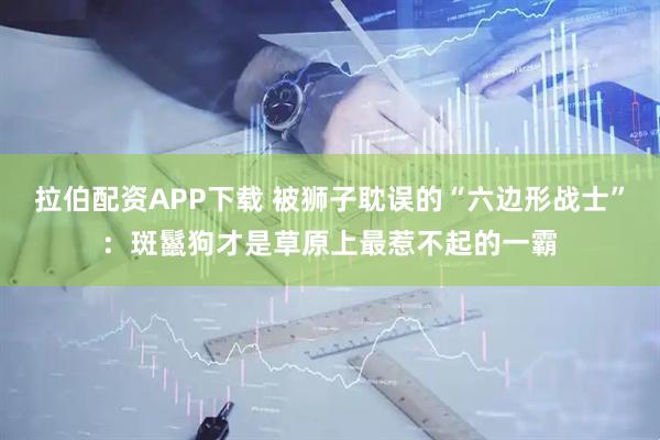 拉伯配资APP下载 被狮子耽误的“六边形战士”：斑鬣狗才是草原上最惹不起的一霸