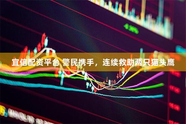 宜信配资平台 警民携手，连续救助两只猫头鹰