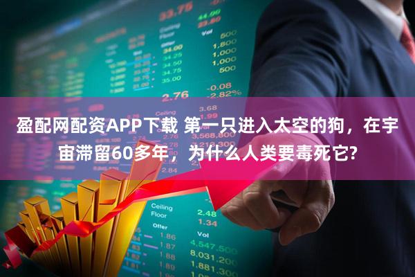 盈配网配资APP下载 第一只进入太空的狗,在宇宙滞留60多年,为什么人类要毒死它?