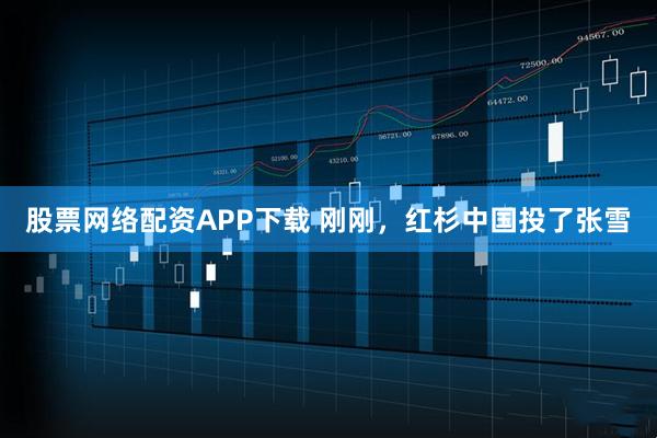 股票网络配资APP下载 刚刚，红杉中国投了张雪