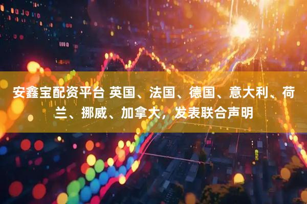 安鑫宝配资平台 英国、法国、德国、意大利、荷兰、挪威、加拿大,发表联合声明